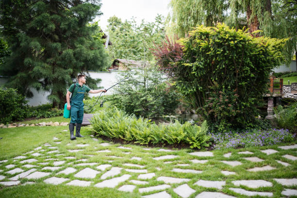 Best Mosquito Control Services  in Memphis, TN