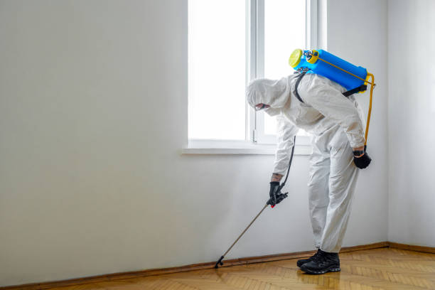 Best Rat Extermination Near Me  in Memphis, TN