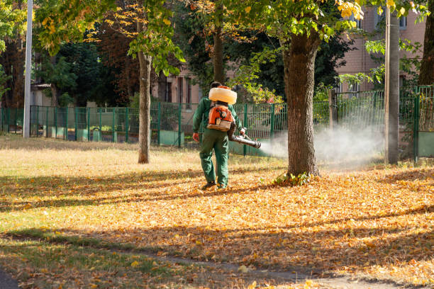 Best Local Pest Control Services  in Memphis, TN