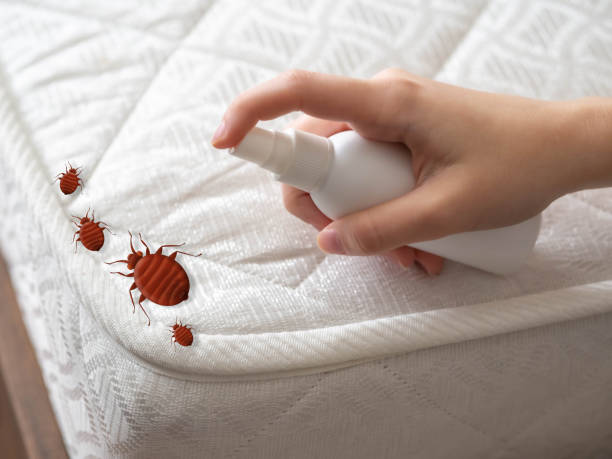 Best Best Pest Control Companies  in Memphis, TN