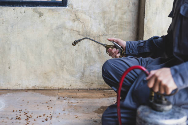 Best Residential Pest Control  in Memphis, TN