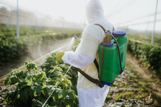 Best Pest Removal Services  in Memphis, TN